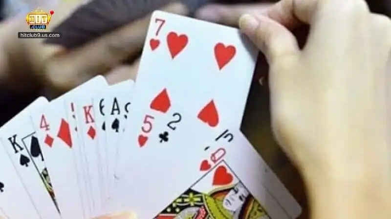 Bài Catte - Cách Chơi Game Bài Đổi Thưởng Online 2025